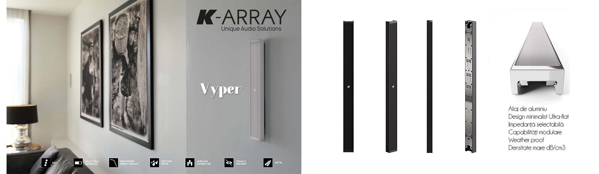 Boxa Pasiva Line Array 1M Ultra-Plata K-ARRAY Vyper